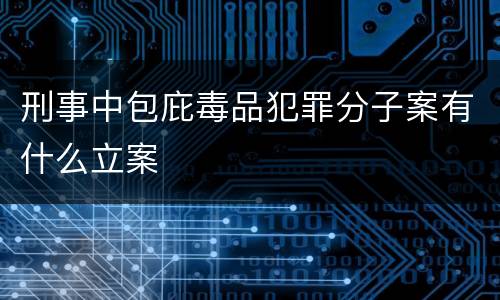 刑事中包庇毒品犯罪分子案有什么立案