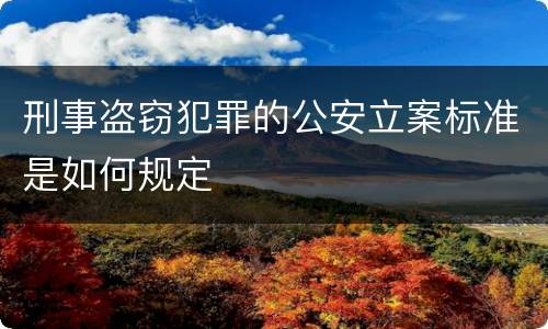刑事盗窃犯罪的公安立案标准是如何规定