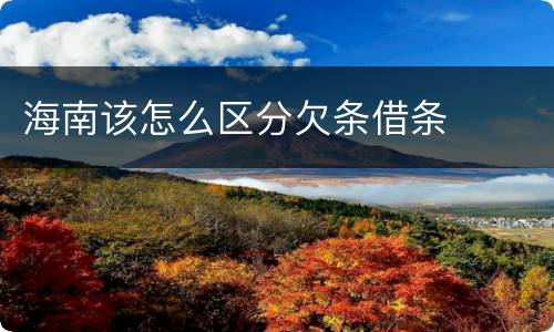 海南该怎么区分欠条借条