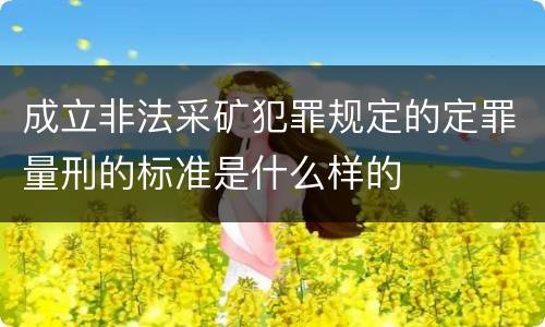 成立非法采矿犯罪规定的定罪量刑的标准是什么样的