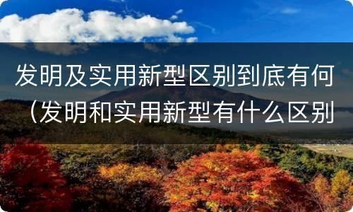 发明及实用新型区别到底有何（发明和实用新型有什么区别）