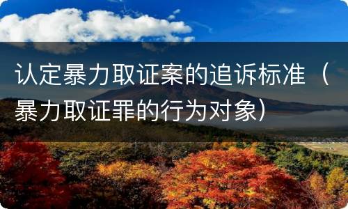 认定暴力取证案的追诉标准（暴力取证罪的行为对象）
