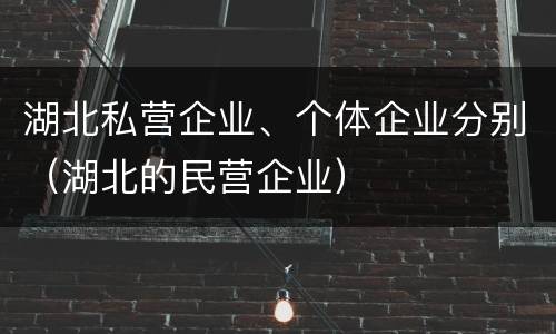 湖北私营企业、个体企业分别（湖北的民营企业）