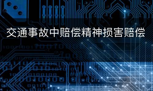 交通事故中赔偿精神损害赔偿