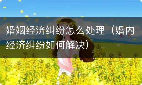 婚姻经济纠纷怎么处理（婚内经济纠纷如何解决）