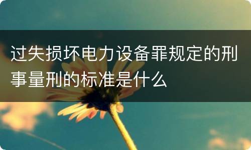 过失损坏电力设备罪规定的刑事量刑的标准是什么