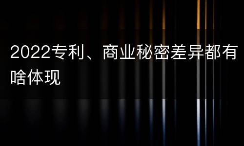 2022专利、商业秘密差异都有啥体现