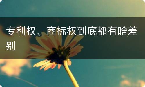 专利权、商标权到底都有啥差别