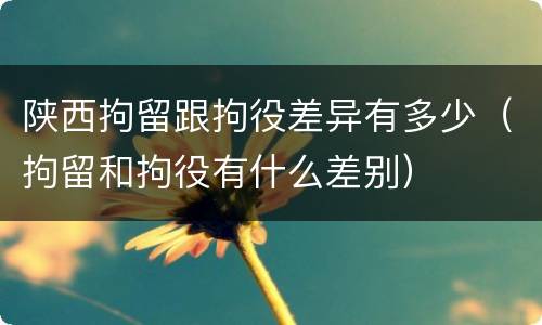 陕西拘留跟拘役差异有多少（拘留和拘役有什么差别）