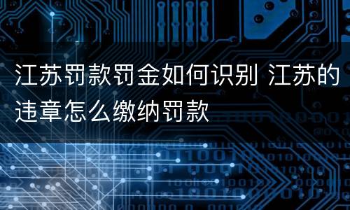 江苏罚款罚金如何识别 江苏的违章怎么缴纳罚款