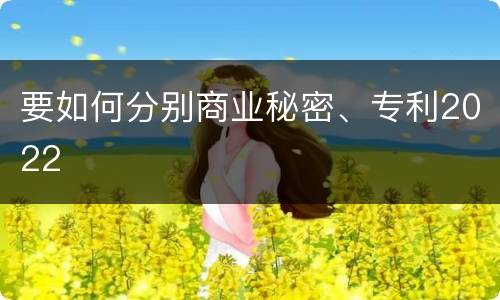 要如何分别商业秘密、专利2022