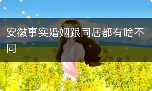 安徽事实婚姻跟同居都有啥不同