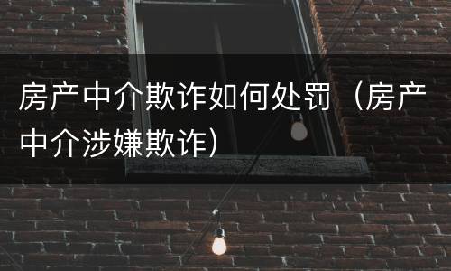 房产中介欺诈如何处罚（房产中介涉嫌欺诈）