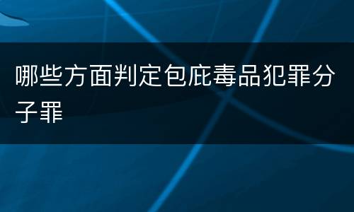哪些方面判定包庇毒品犯罪分子罪