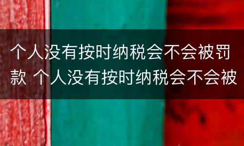 个人没有按时纳税会不会被罚款 个人没有按时纳税会不会被罚款呢