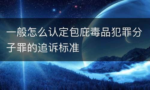 一般怎么认定包庇毒品犯罪分子罪的追诉标准