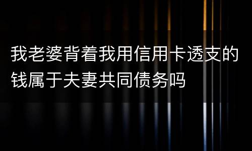 我老婆背着我用信用卡透支的钱属于夫妻共同债务吗