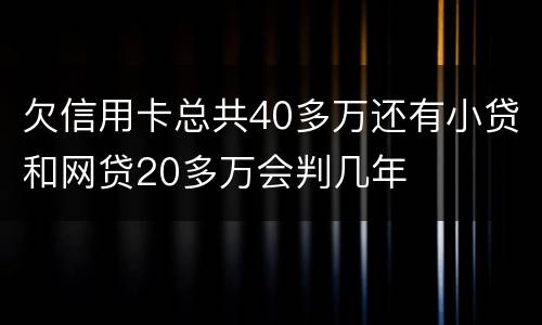 欠信用卡总共40多万还有小贷和网贷20多万会判几年