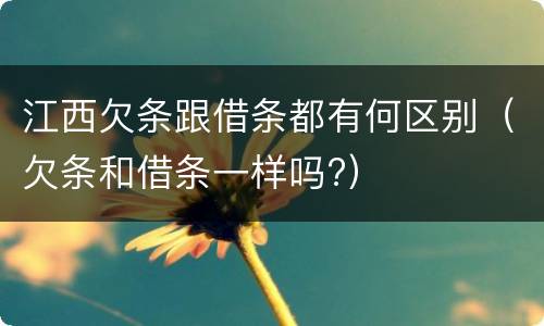 江西欠条跟借条都有何区别（欠条和借条一样吗?）