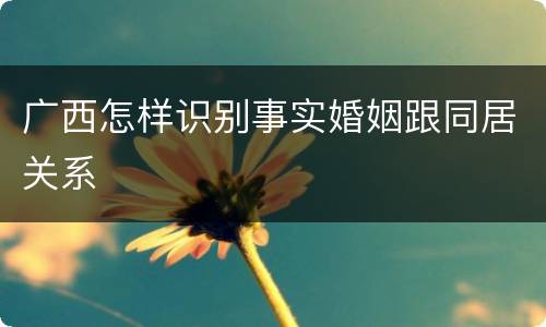 广西怎样识别事实婚姻跟同居关系