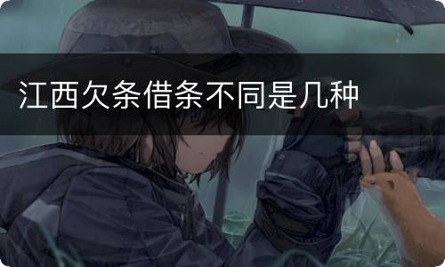 江西欠条借条不同是几种