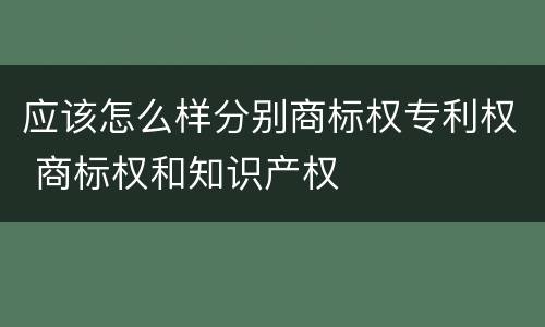 应该怎么样分别商标权专利权 商标权和知识产权