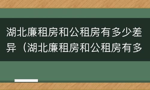 湖北廉租房和公租房有多少差异（湖北廉租房和公租房有多少差异啊）