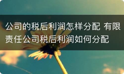 公司的税后利润怎样分配 有限责任公司税后利润如何分配