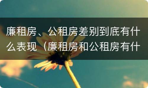 廉租房、公租房差别到底有什么表现（廉租房和公租房有什么差别）