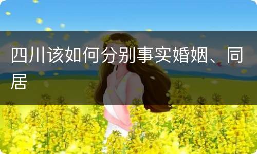 四川该如何分别事实婚姻、同居
