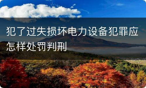 犯了过失损坏电力设备犯罪应怎样处罚判刑
