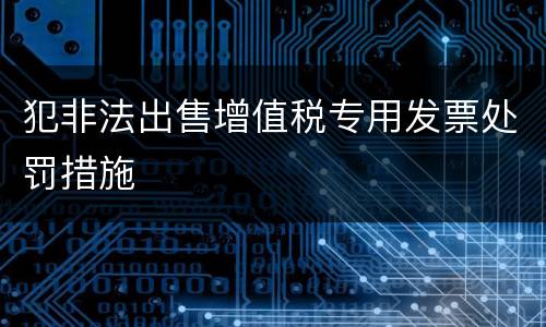 犯非法出售增值税专用发票处罚措施