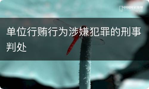 单位行贿行为涉嫌犯罪的刑事判处