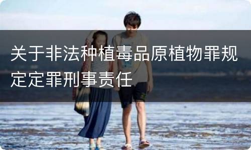 关于非法种植毒品原植物罪规定定罪刑事责任