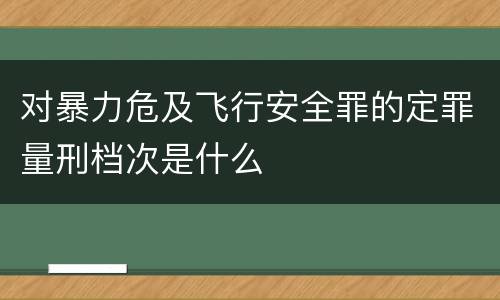 对暴力危及飞行安全罪的定罪量刑档次是什么