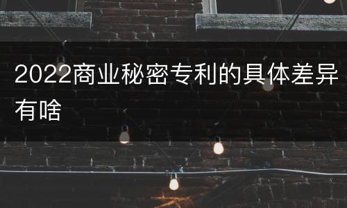 2022商业秘密专利的具体差异有啥