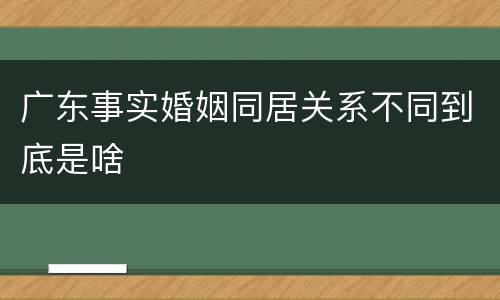 广东事实婚姻同居关系不同到底是啥