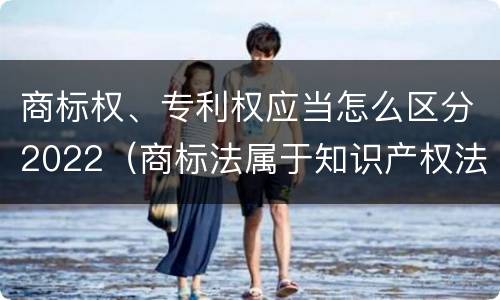 商标权、专利权应当怎么区分2022（商标法属于知识产权法）