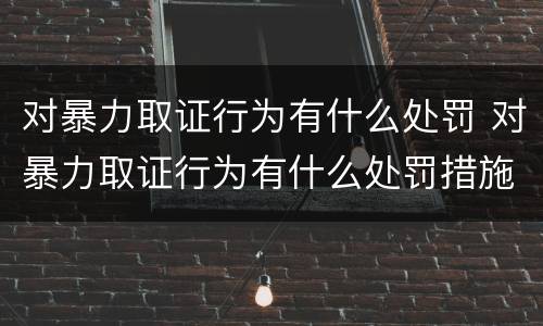 对暴力取证行为有什么处罚 对暴力取证行为有什么处罚措施