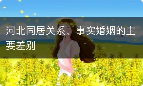 河北同居关系、事实婚姻的主要差别