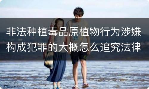 非法种植毒品原植物行为涉嫌构成犯罪的大概怎么追究法律责任