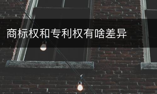 商标权和专利权有啥差异
