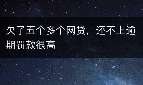 欠了五个多个网贷，还不上逾期罚款很高