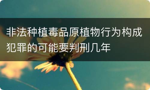 非法种植毒品原植物行为构成犯罪的可能要判刑几年