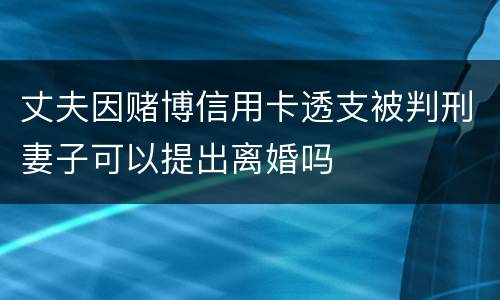 丈夫因赌博信用卡透支被判刑妻子可以提出离婚吗