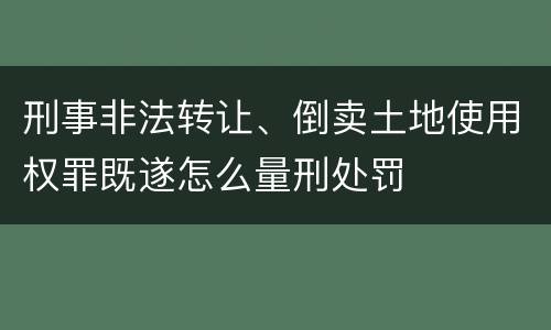 刑事非法转让、倒卖土地使用权罪既遂怎么量刑处罚