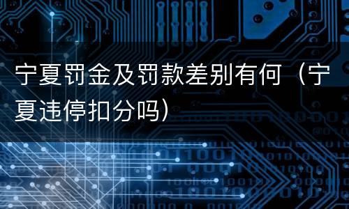 宁夏罚金及罚款差别有何（宁夏违停扣分吗）