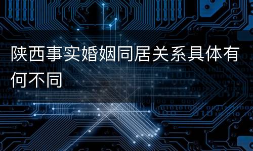 陕西事实婚姻同居关系具体有何不同