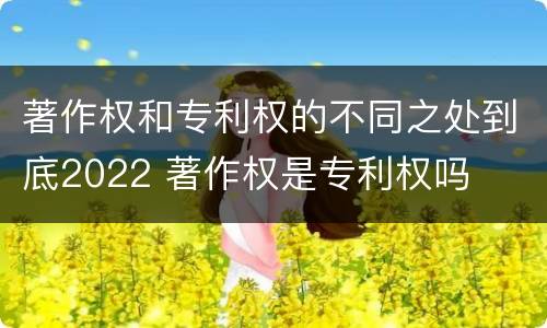 著作权和专利权的不同之处到底2022 著作权是专利权吗