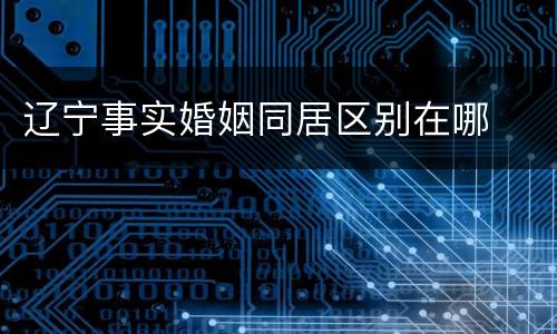辽宁事实婚姻同居区别在哪